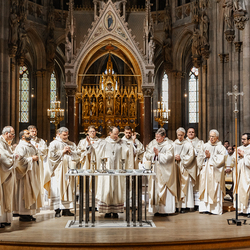 Diakonenweihe 2024 / Erzdiözese Wien/ Schönlaub