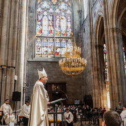 Diakonenweihe 2024 / Erzdiözese Wien/ Schönlaub