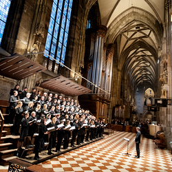 2025 Gründonnerstag / Erzdiözese Wien/Schönlaub, Stephan Schönlaub