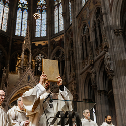 Diakonenweihe 2024 / Erzdiözese Wien/ Schönlaub
