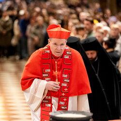 Erzdiözese Wien/ Schönlaub, Stephan Schönlaub