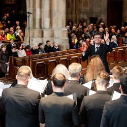 2025 Karfreitag / Erzdiözese Wien/Schönlaub