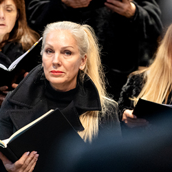 Allerheiligen Stephansdom